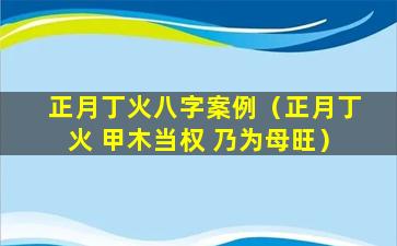 正月丁火八字案例（正月丁火 甲木当权 乃为母旺）